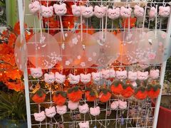 -后湖小院·乡野田园菜