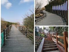 -上海吴淞炮台湾国家湿地公园