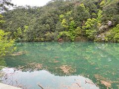 -大慈岩风景区