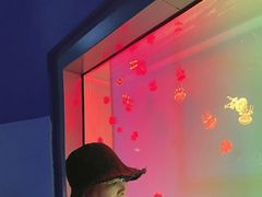 -福州罗源湾海洋世界旅游区