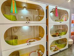 -青奢宠物·青奢猫舍