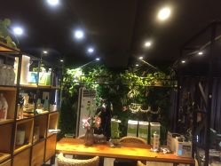 点击看大图 -藤野造型