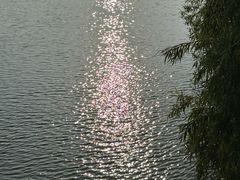 -苏州太湖国家湿地公园