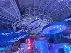 -烟台海昌鲸鲨海洋公园