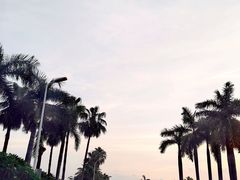 -椰风寨