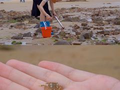 -前王院•巧克力海鲜市集餐厅(万平口店)