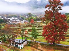 -塔川景区