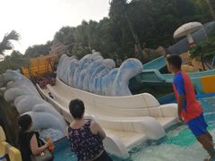-重庆海昌加勒比海水世界