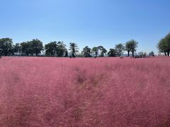 -汉长安城未央宫国家考古遗址公园