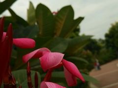 -荔湾区儿童公园