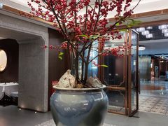 -广州酒家(中华广场店)