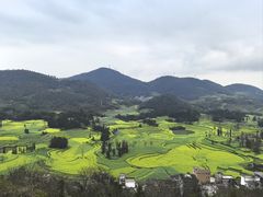 -牛街螺丝田