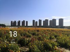 -映月湖中央公园