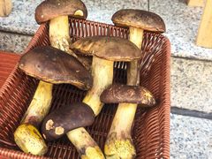 -草墩罗非鱼庄•野生菌•腊排骨(七星街上段店)