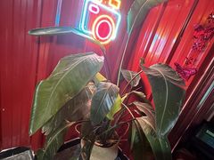 -顽主轰趴馆团建ktv桌游狼人杀(望京店)