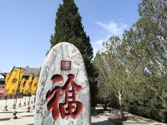 -大槐树寻根祭祖园