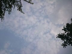 android_upload_pic-尚贤河湿地