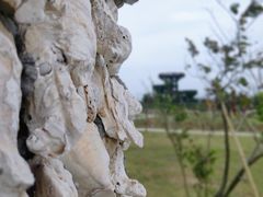 -芒洲湿地公园