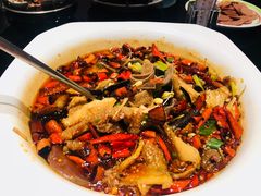 -开海·红岛海鲜虾水饺(石老人店)