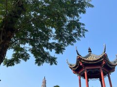 -顺峰山公园