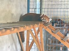 -苏州太湖西山岛开心农场