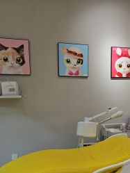 -洗脸猫·洗脸吧