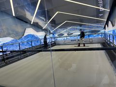 -Hopo Snow 城市滑雪空间(滨江宝龙城店)