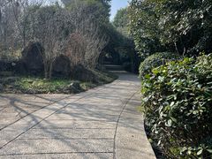 -巢湖姥山岛