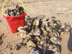 -六鳌翡翠湾滨海度假景区
