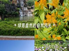 -金鸡山公园