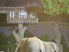 -上海野生动物园