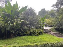 -杭州植物园
