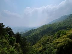 -缙云山景区