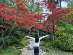 -南山植物园