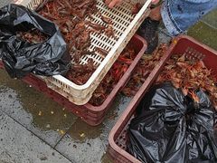 -江汉区姑嫂树菜市场
