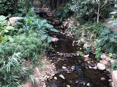 -深圳仙湖植物园