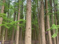 -青山湖景区