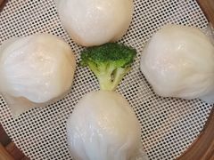 -东方御宴海鲜酒楼(棕泉酒店)