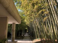 -上海市龙华烈士陵园