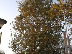 -武汉紫薇都市田园