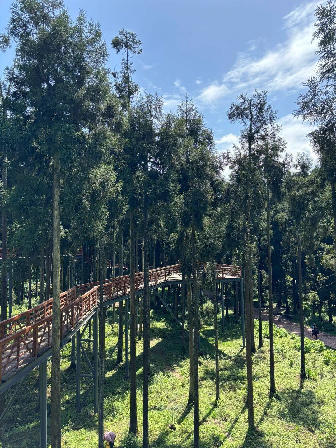 邛崃天台山一日游攻略徒步探秘,瀑布与绿意盛宴