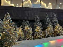 -世界之窗阿尔卑斯冰雪世界