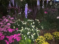 -深圳国际园林花卉博览园