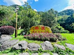 -雁南飞茶田景区
