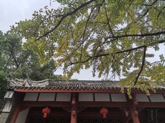 -房湖公园