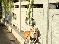 -尚贤河湿地