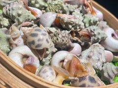 -浙C老邻舍(西城海错店)