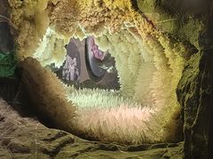 -湖南省地质博物馆