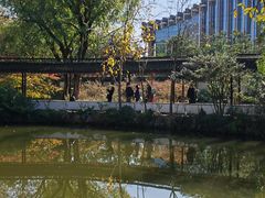 -上海醉白池公园