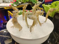 -江南福宴·澳门海鲜.牛肉火锅(汇高栢悦中心店)